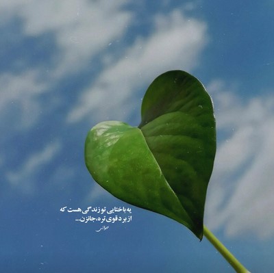 شادمهر عقیلی تو که نیستی تا ببینی گریه های هرشب من